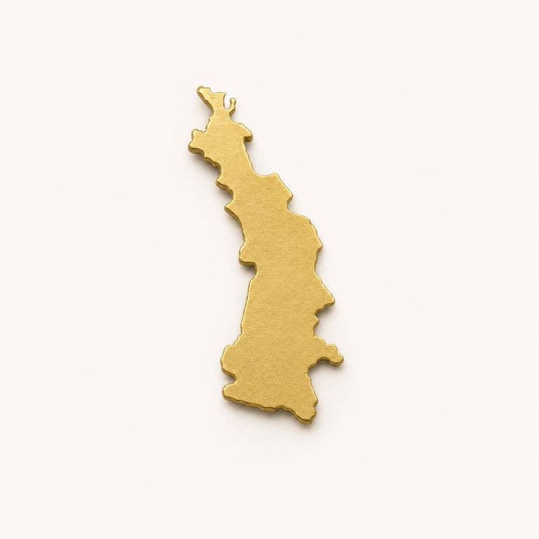 Pin mapa del Pacífico